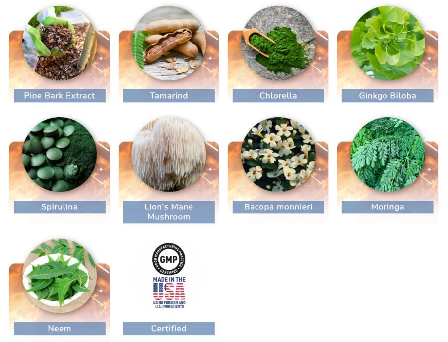 JointVive Ingredients — A Deep Dive